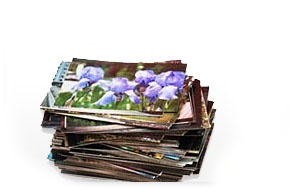 Photo Prints